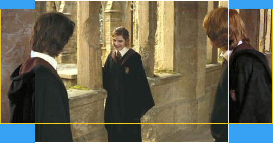 harry potter and the goblet of fire dvd full screen